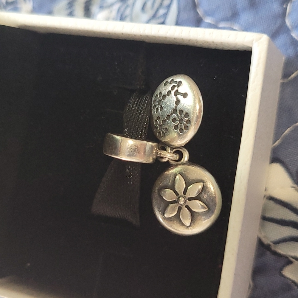 Pandora charm